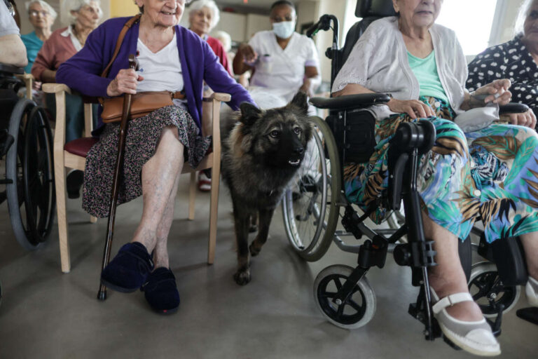 ‘Aging better’ in a nursing home with your pet: ‘Without me he would let himself die.  And I think I do too”