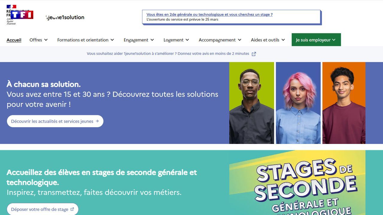 Mandatory internship in secondary school: we explain how the site “1jeune1solution” works |  TF1 INFO